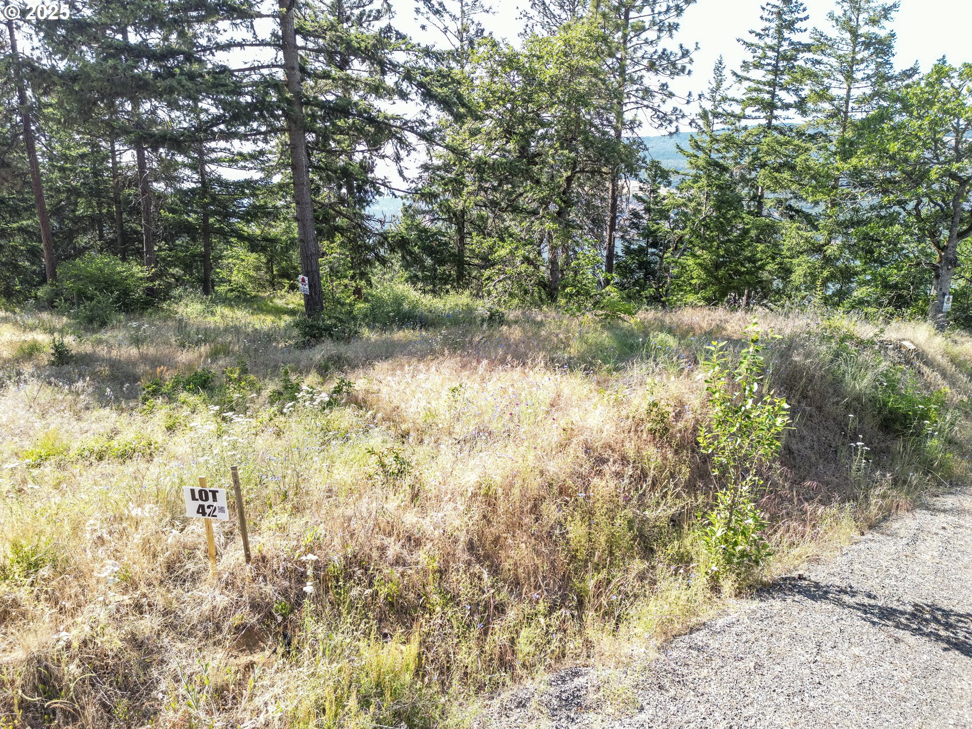 Coyote Court, Unit 42 Mosier, OR 97040 - Photo 10 of 13