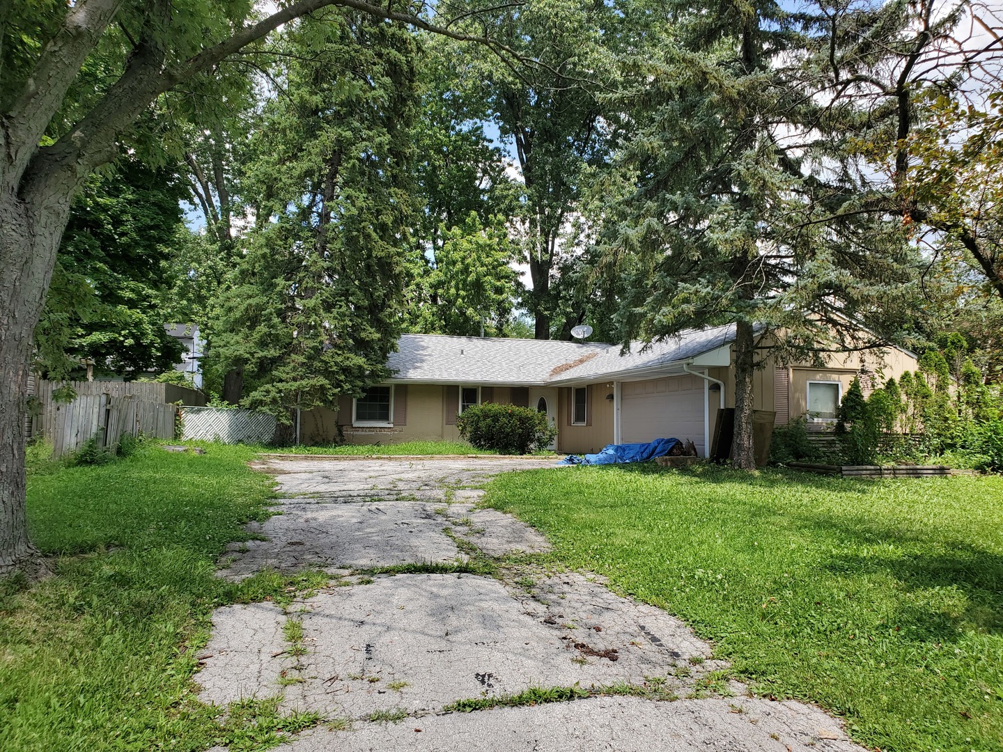 217 Thornhurst Road Bolingbrook, IL 60440 - Photo 1 of 1
