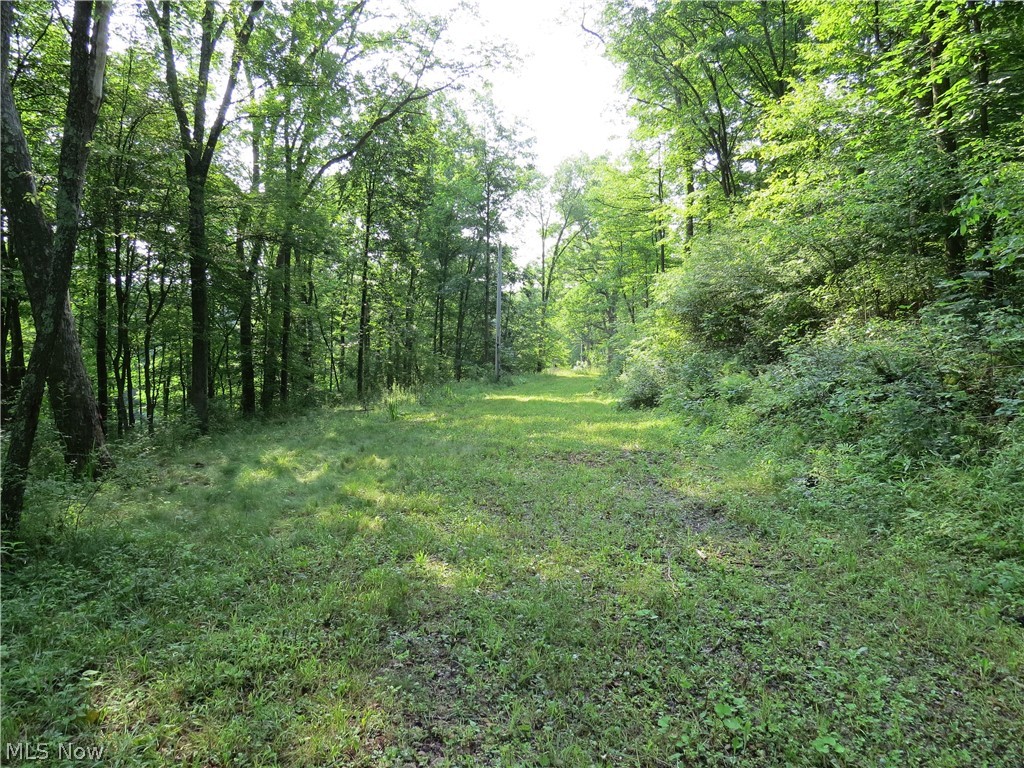 7186 Dial Road Southwest Carrollton, OH 44615 - Photo 12 of 34 Gallery Image 12