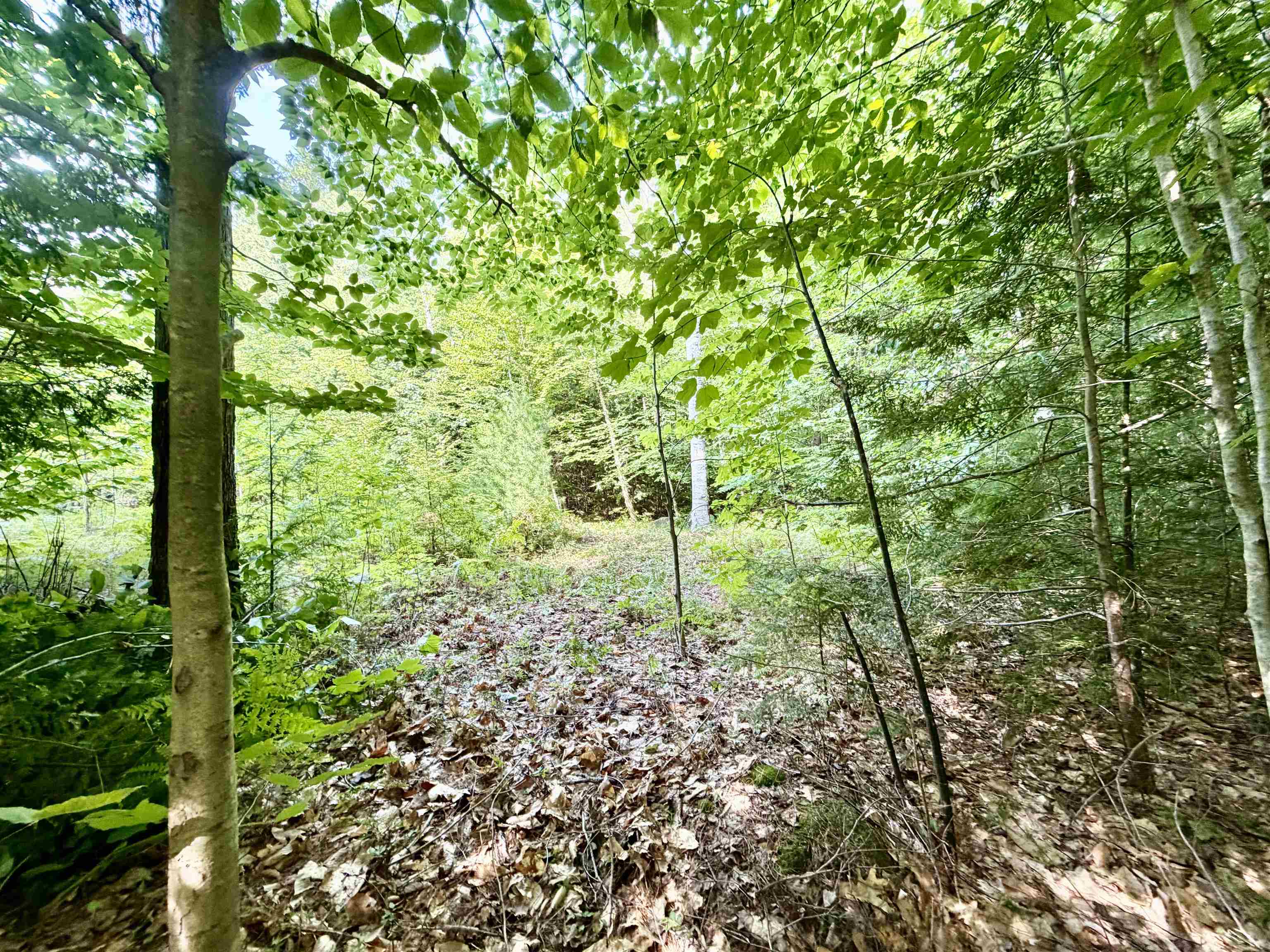Lee Brook Road Thornton, NH 03285 - Photo 1 of 10 Gallery Image 1