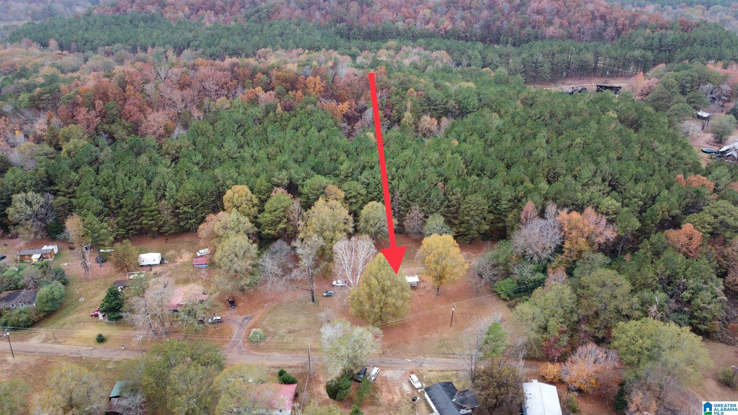385 Jackson Street, Unit 385 Oakman, AL 35579 - Photo 8 of 19