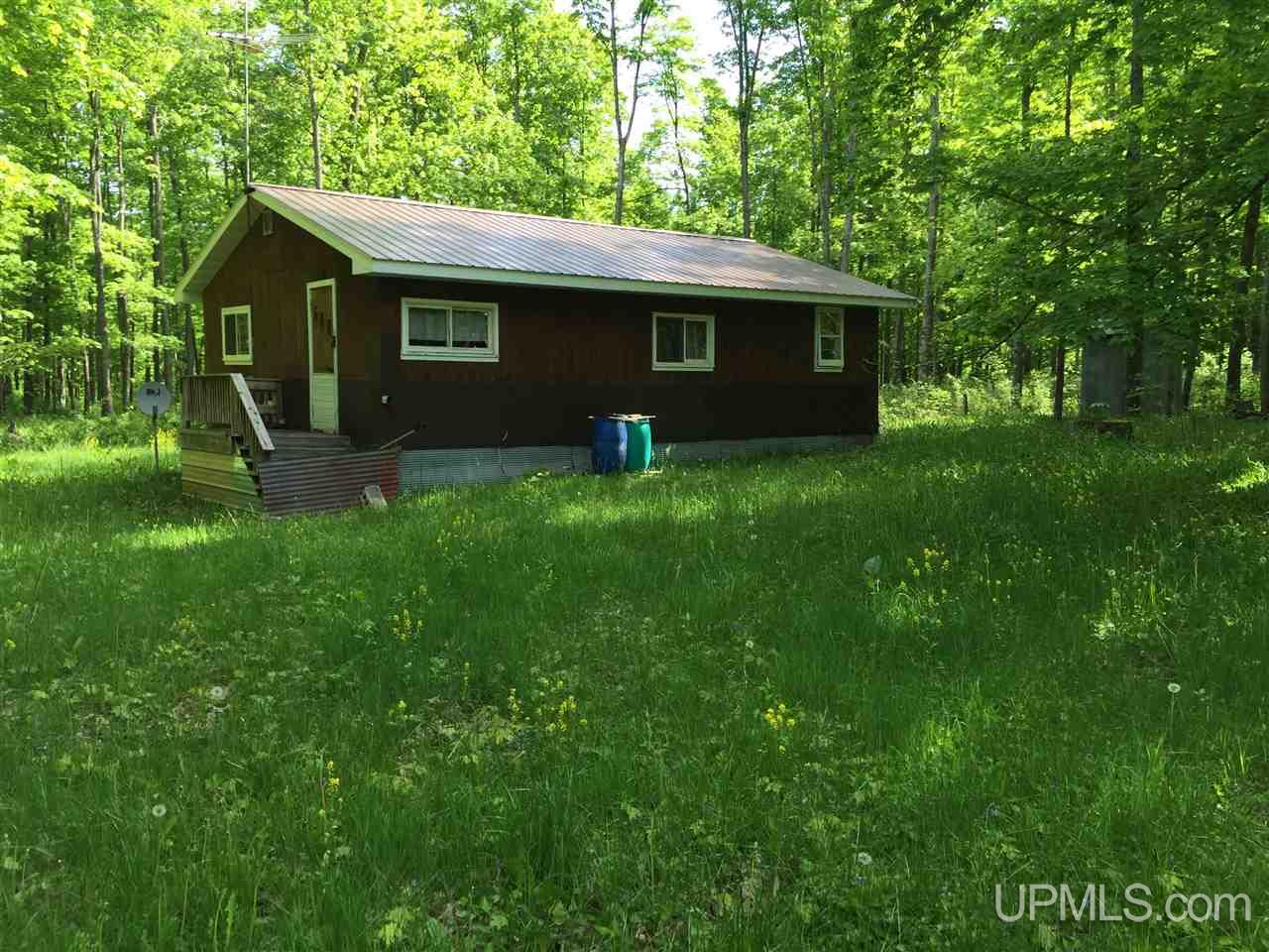 Tbd Bates Amasa Road Alpha, MI 49902 - Photo 5 of 24