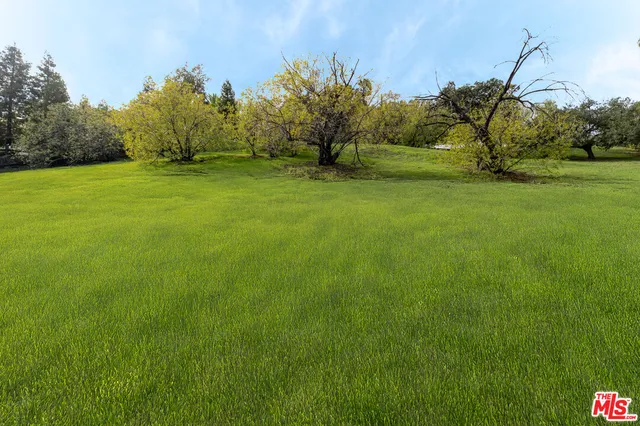 a view of a field of grass and trees