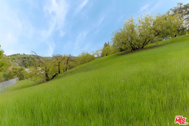 a view of a yard with an trees
