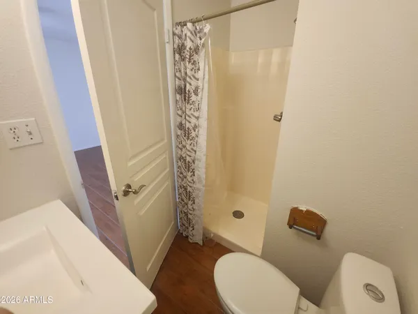 a white toilet sitting next to a shower curtain