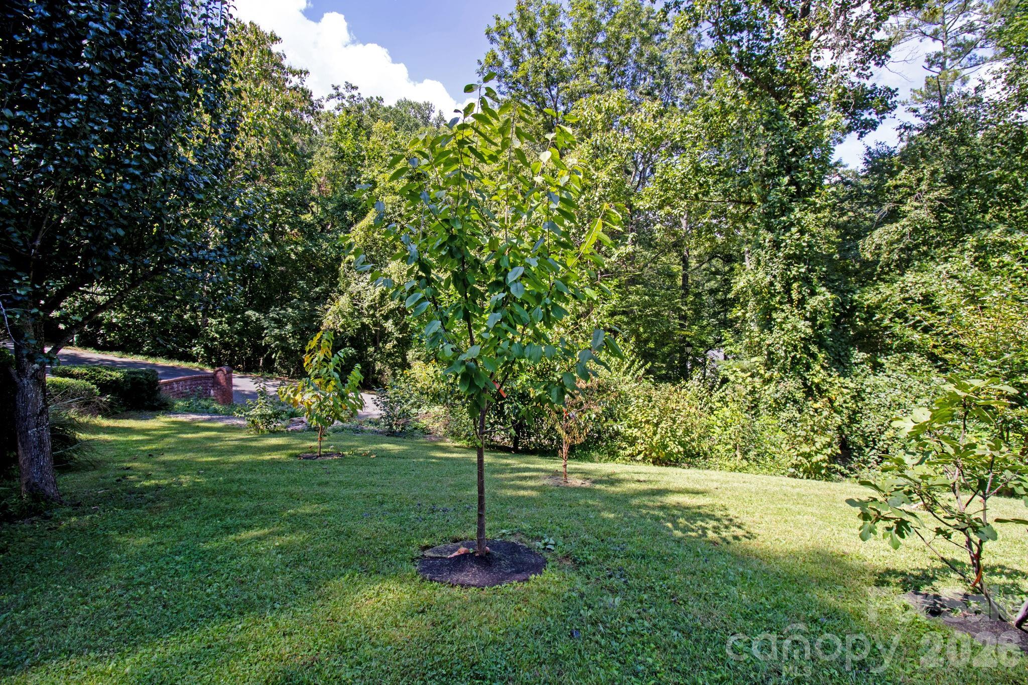 6 Kit Court Fletcher, NC 28732 - Photo 44 of 48 Gallery Image 44