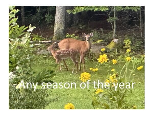 8 Stone Road Dixfield, ME 04224 - Photo 20 of 23 Any Season of the Year