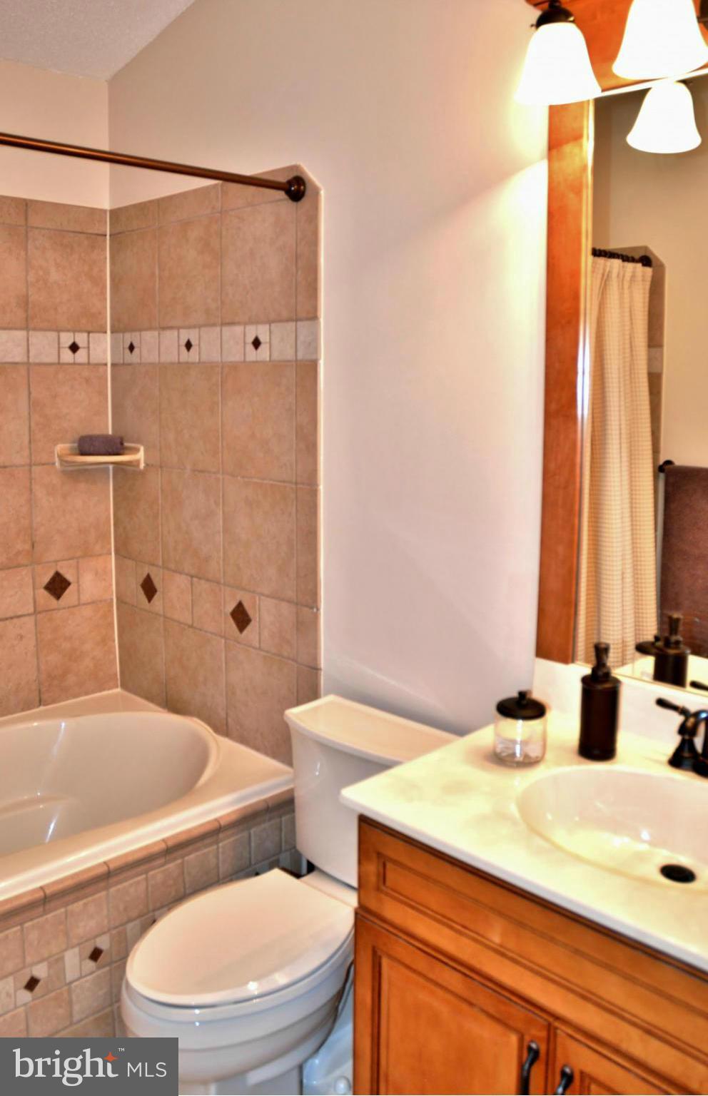 1432 Newport Spring Court Reston, VA 20194 - Photo 11 of 29 Custom Tile Work in Master Bath