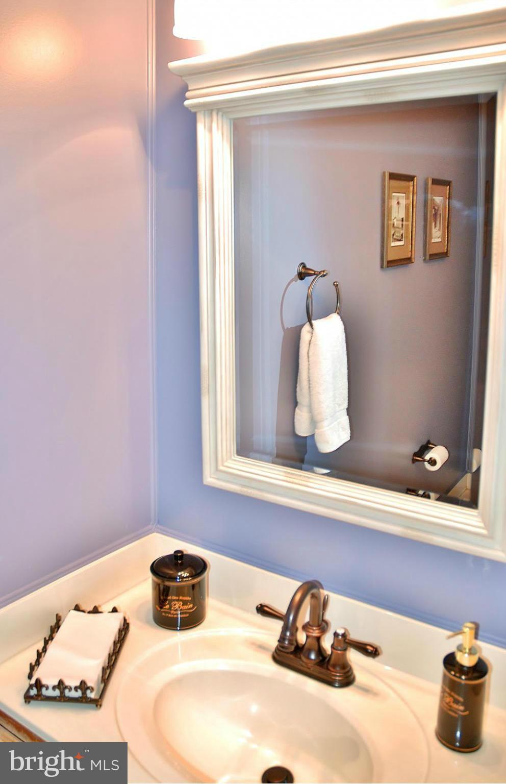1432 Newport Spring Court Reston, VA 20194 - Photo 8 of 29 Main Level Powder Room
