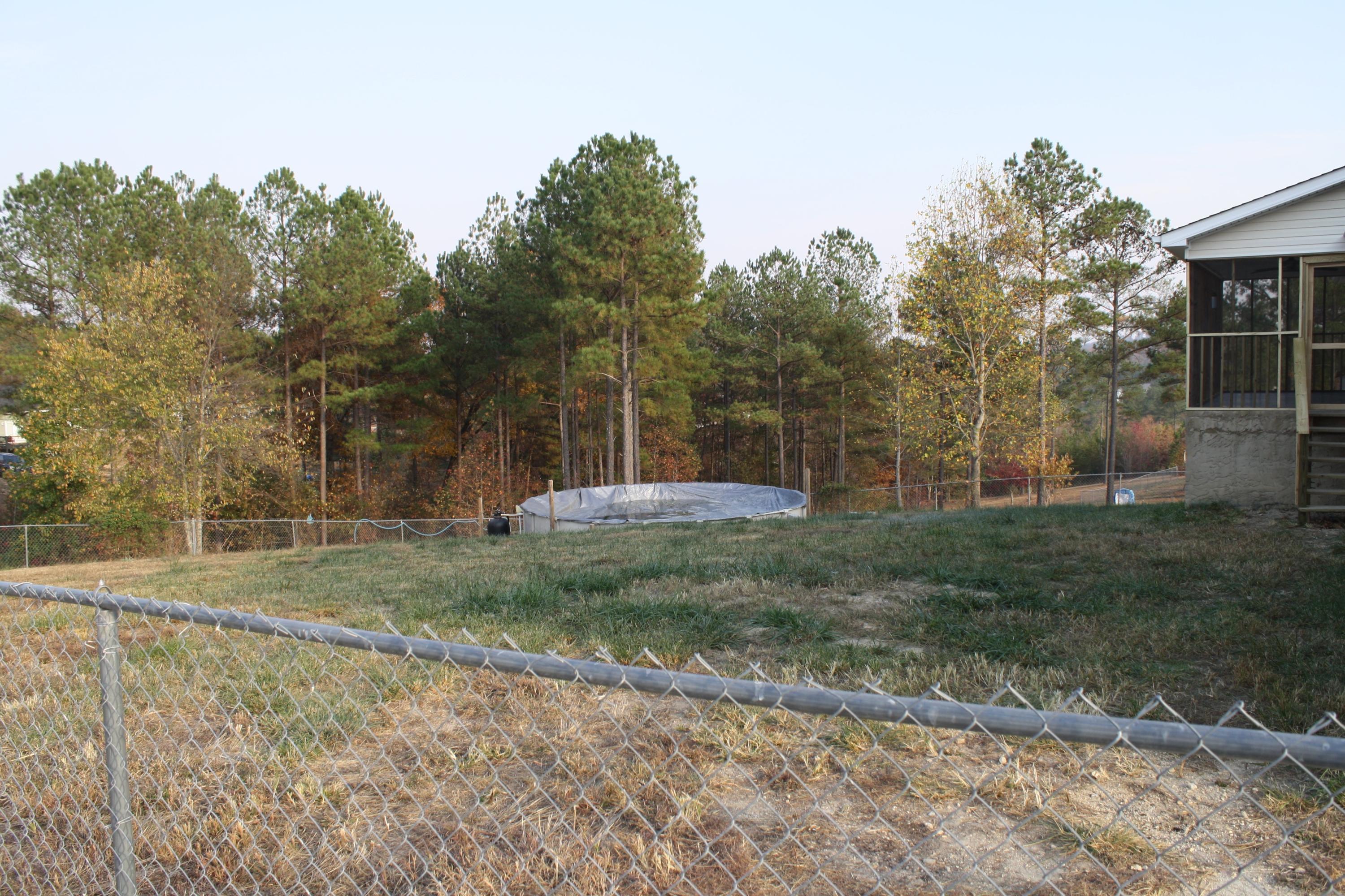 564 Hazelwood Road Dayton, TN 37321 - Photo 31 of 32 IMG_5967