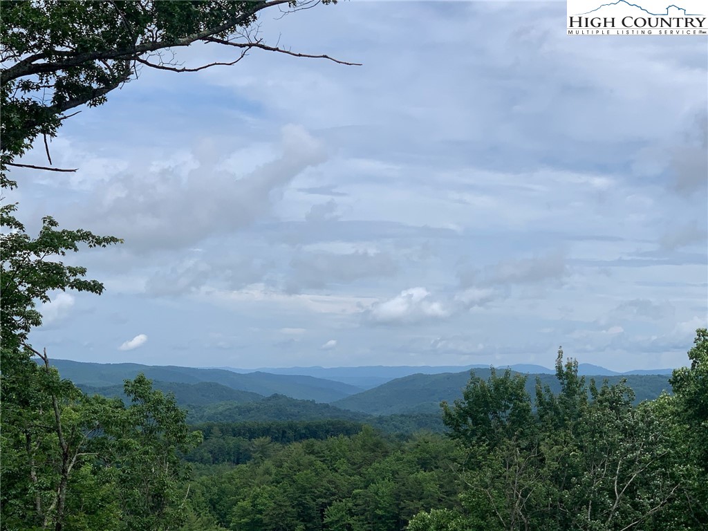 272 Ninebark Road Boone, NC 28607 - Photo 1 of 1 a view of a bunch of trees in the background