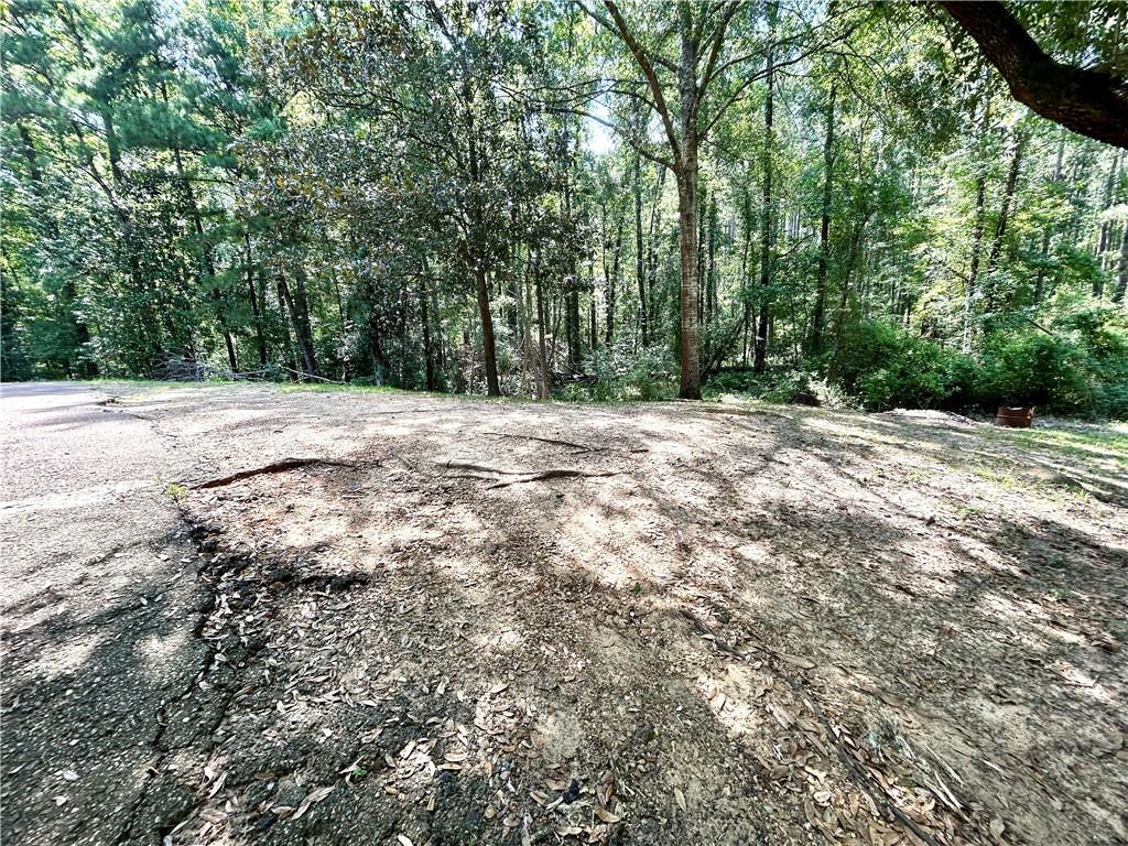 48 Vanasselberg Road Elmer, LA 71424 - Photo 23 of 30 Gallery Image 23