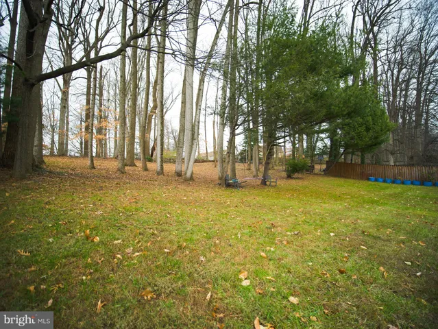 a view of a yard with trees