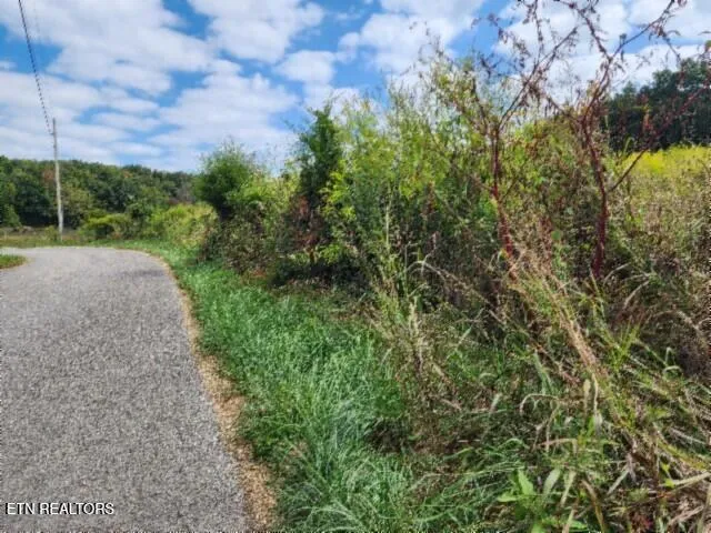 $64,900 | 3.94-ac Anderson Road, Byrdstown, TN 38549