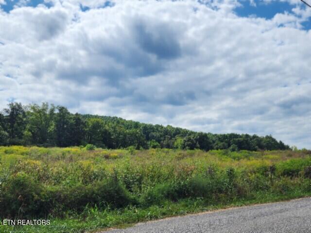 3.94-ac Anderson Road Byrdstown, TN 38549 - Photo 20 of 24 20250909_110529
