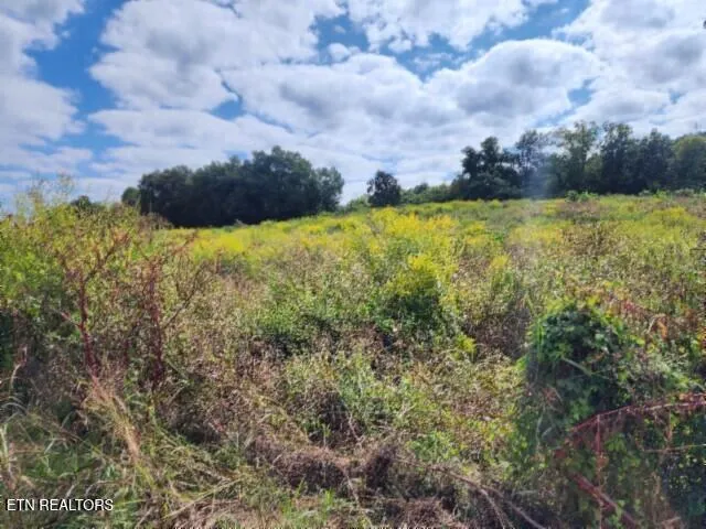 $64,900 | 3.94-ac Anderson Road, Byrdstown, TN 38549