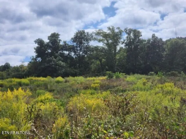 $64,900 | 3.94-ac Anderson Road, Byrdstown, TN 38549