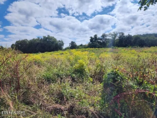 $64,900 | 3.94-ac Anderson Road, Byrdstown, TN 38549