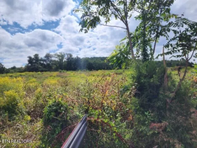 $64,900 | 3.94-ac Anderson Road, Byrdstown, TN 38549