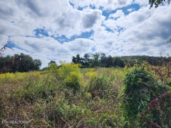 $64,900 | 3.94-ac Anderson Road, Byrdstown, TN 38549