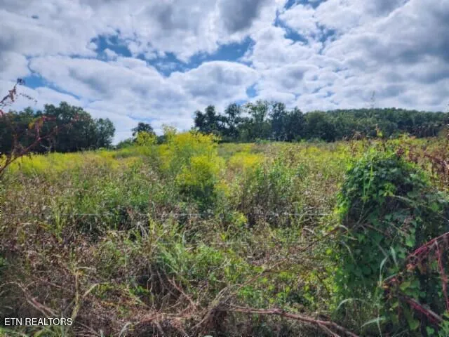 $64,900 | 3.94-ac Anderson Road, Byrdstown, TN 38549