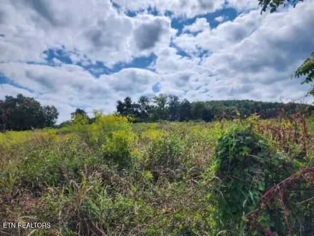 $64,900 | 3.94-ac Anderson Road, Byrdstown, TN 38549