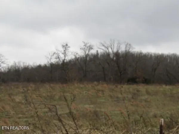 $64,900 | 3.94-ac Anderson Road, Byrdstown, TN 38549