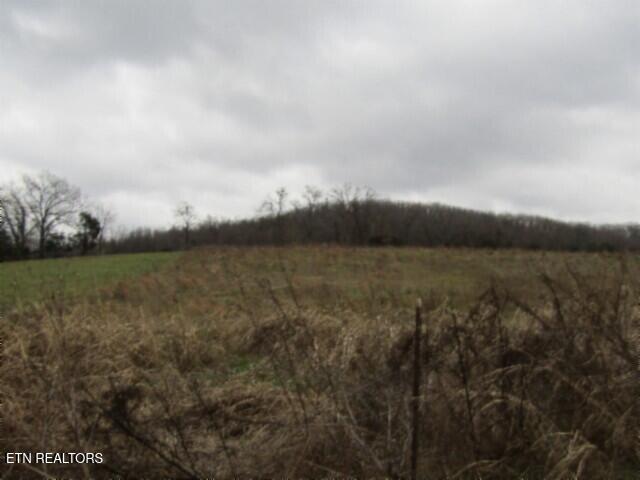 3.94-ac Anderson Road Byrdstown, TN 38549 - Photo 10 of 24 PHOTO 1