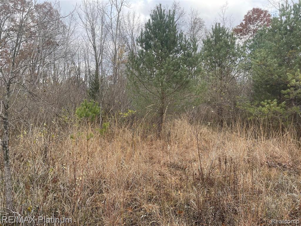 0 Seymour Road Gaines, MI 48436 - Photo 2 of 5