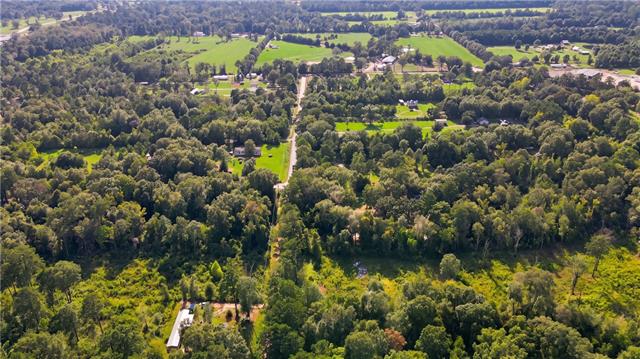 0 Chateau Farm Road Loranger, LA 70446 - Photo 5 of 5 Gallery Image 5