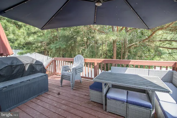a view of a yard with large trees