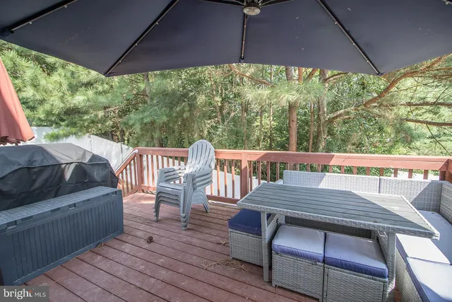 a view of a yard with large trees
