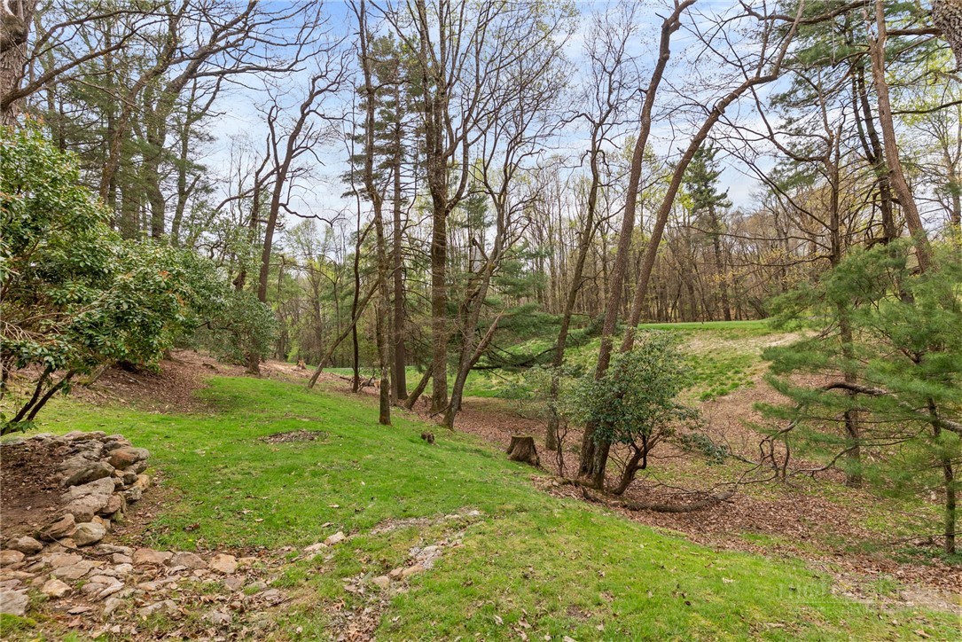 971 Ridge Road Glade Valley, NC 28627 - Photo 10 of 44