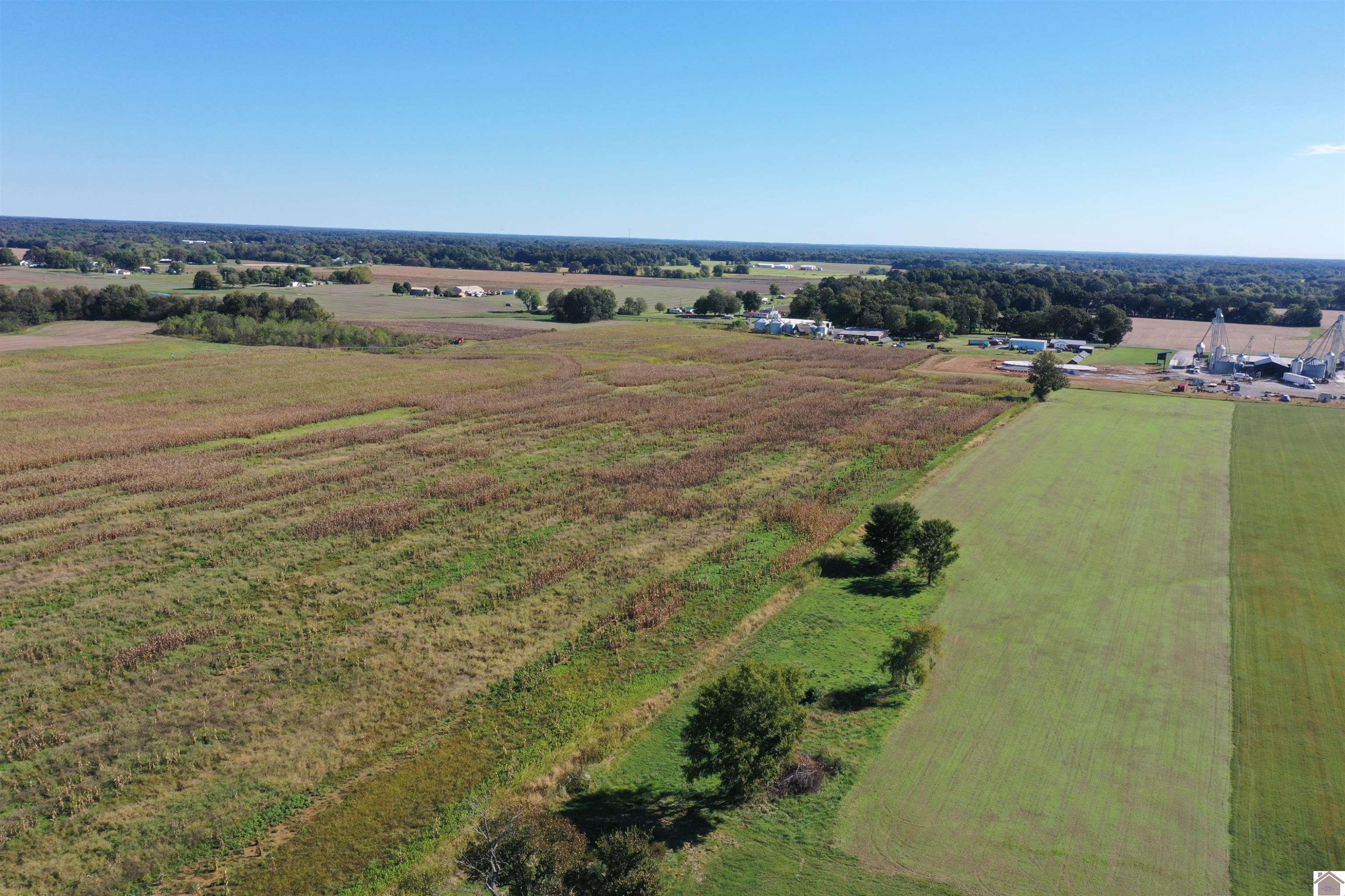 0 Beach Road Kirksey, KY 42054 - Photo 3 of 15 Photo 3