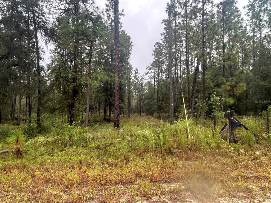 Tbd Northeast 111th Street Bronson, FL 32621 - Photo 2 of 2 Gallery Image 2