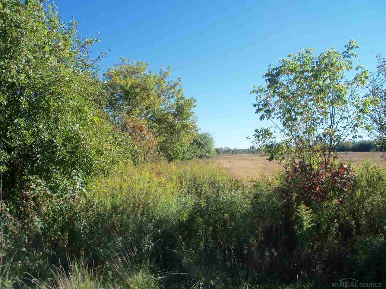 0 Custer Road Sandusky, MI 48471 - Photo 2 of 8