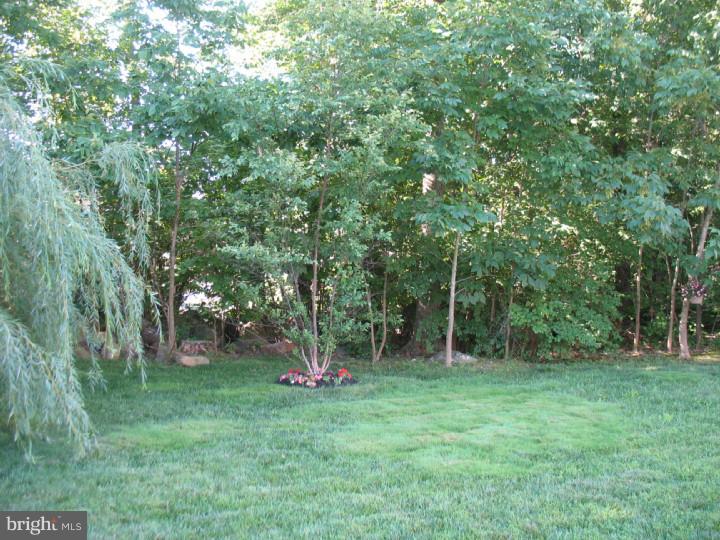 23 Ridge Run Road Sellersville, PA 18960 - Photo 19 of 21 Back Yard