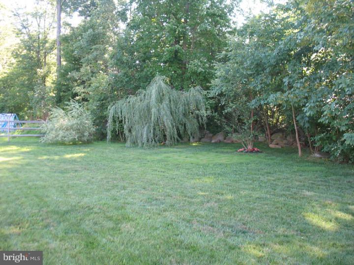 23 Ridge Run Road Sellersville, PA 18960 - Photo 20 of 21 Back Yard