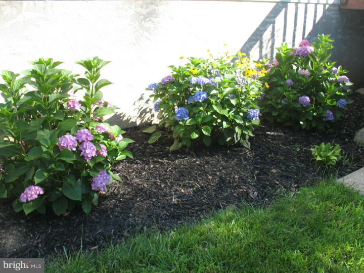 23 Ridge Run Road Sellersville, PA 18960 - Photo 21 of 21 Garden