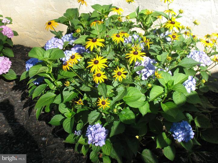 23 Ridge Run Road Sellersville, PA 18960 - Photo 3 of 21 Garden
