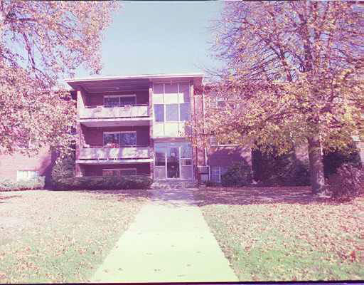 a view of a backyard with large trees