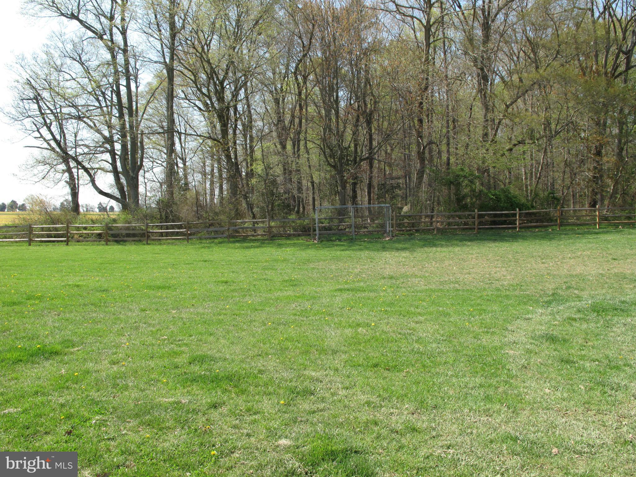 7816 Dover Neck Road Easton, MD 21601 - Photo 20 of 27 Exterior (Rear)
