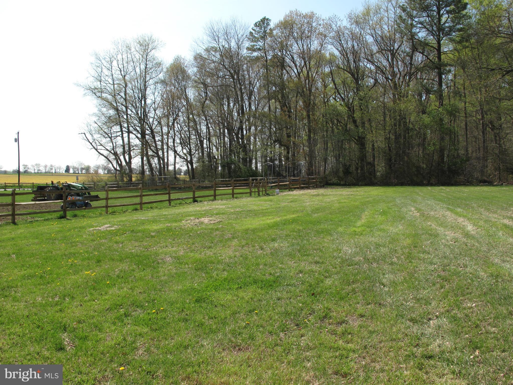 7816 Dover Neck Road Easton, MD 21601 - Photo 21 of 27 Exterior (Rear)