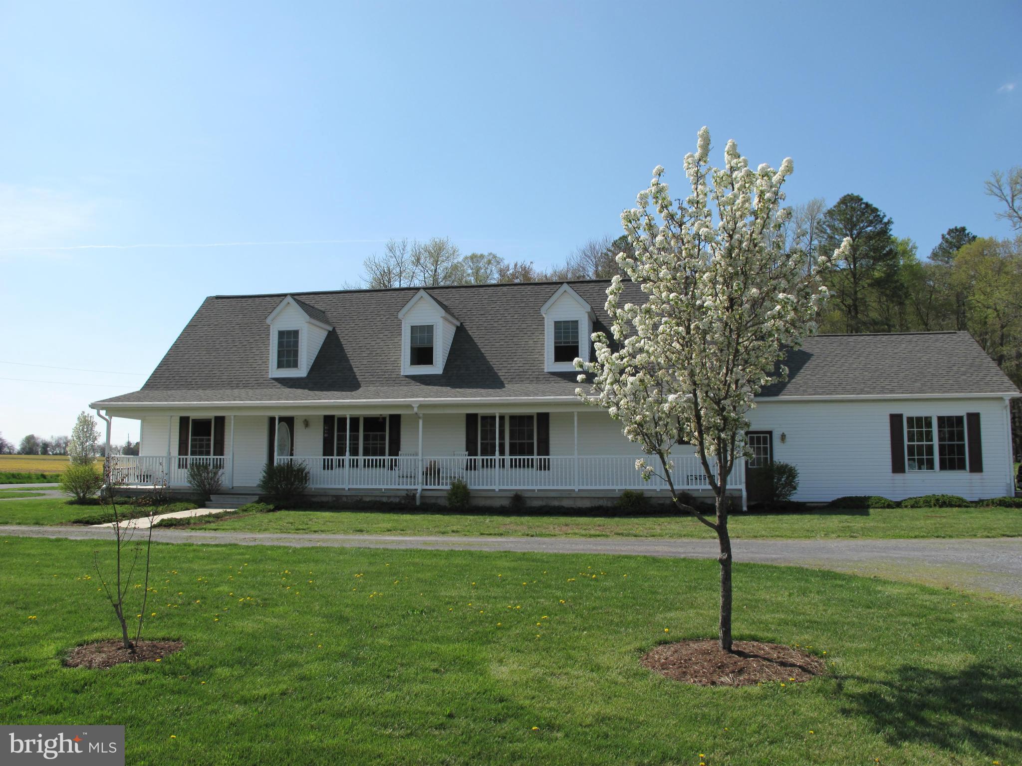 7816 Dover Neck Road Easton, MD 21601 - Photo 27 of 27 Exterior (Front)