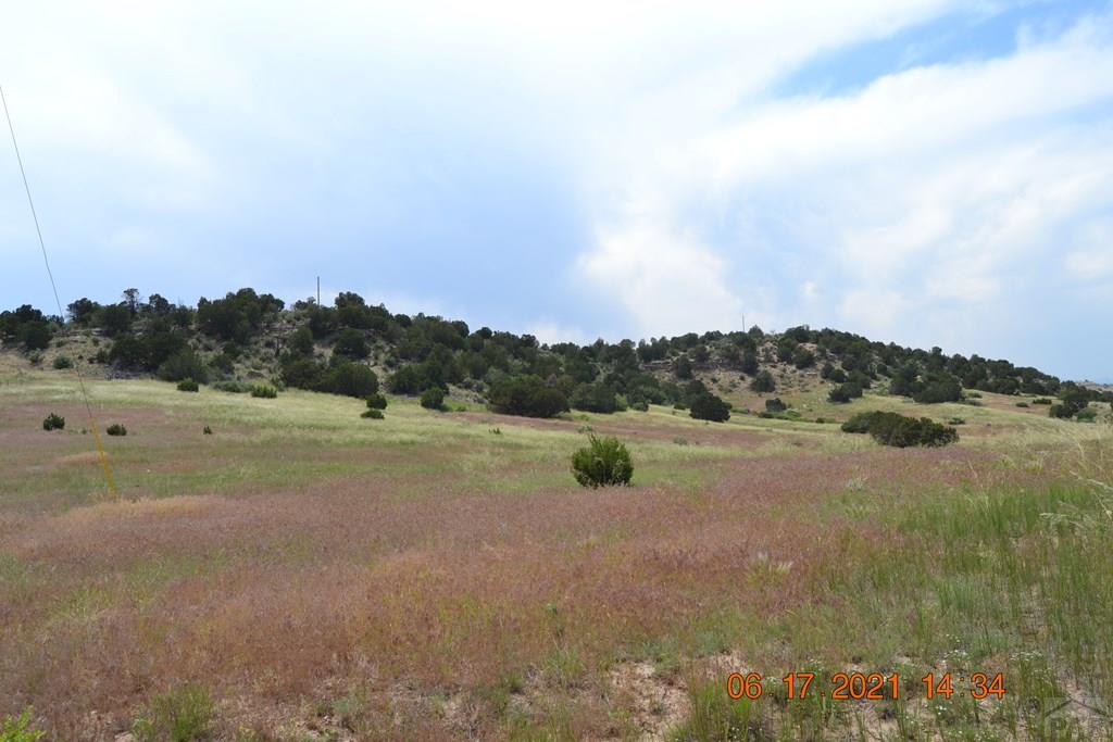 Lot 100 Ghost River Ranch Rye, CO 81069 - Photo 9 of 35
