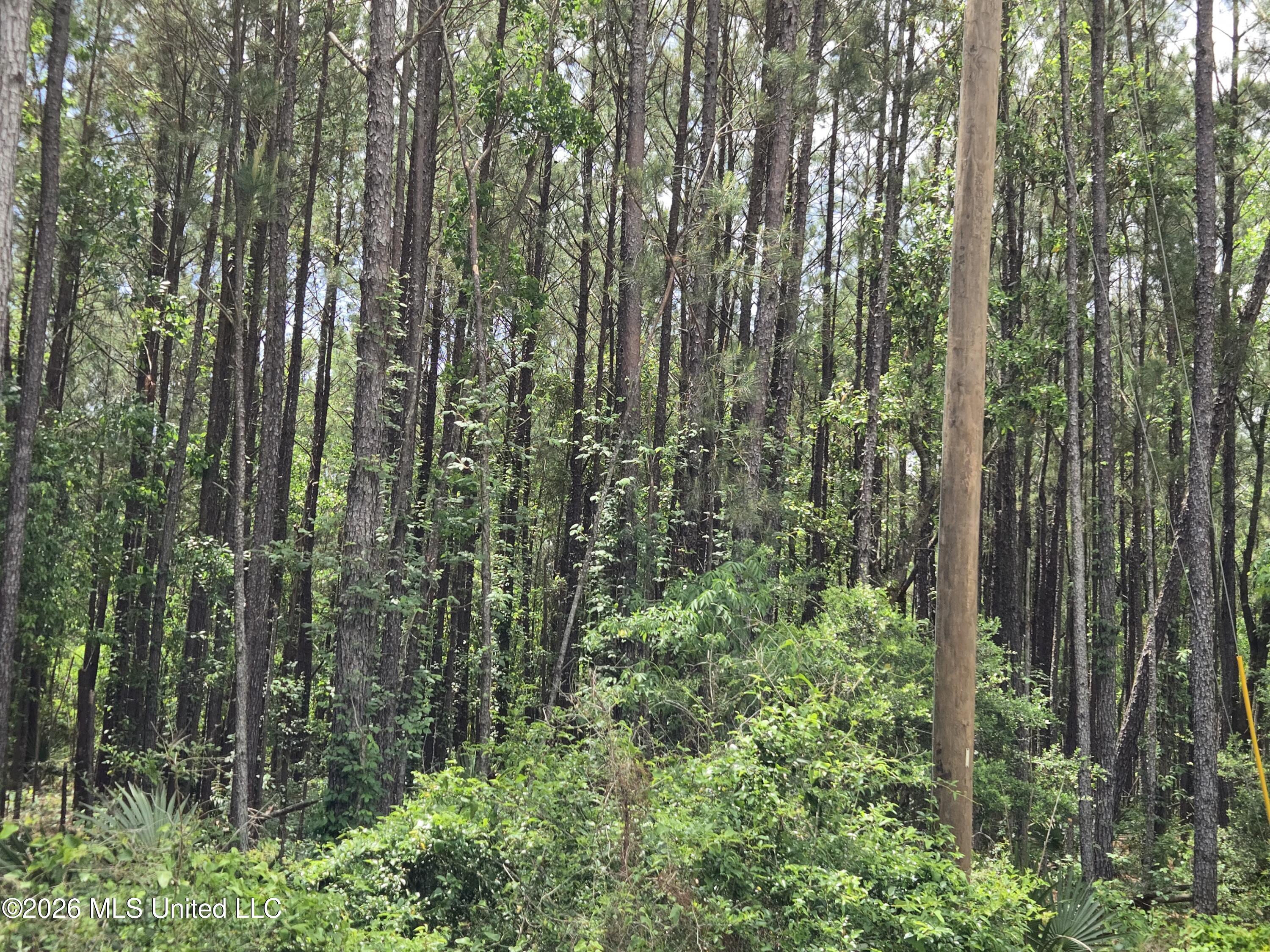 17th Street Bay St. Louis, MS 39520 - Photo 3 of 5 20260415_123819