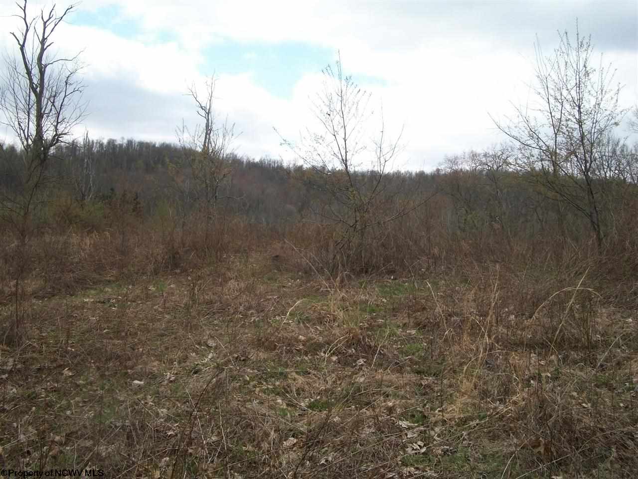 Sand Run Road Philippi, WV 26416 - Photo 6 of 11 Gallery Image 6