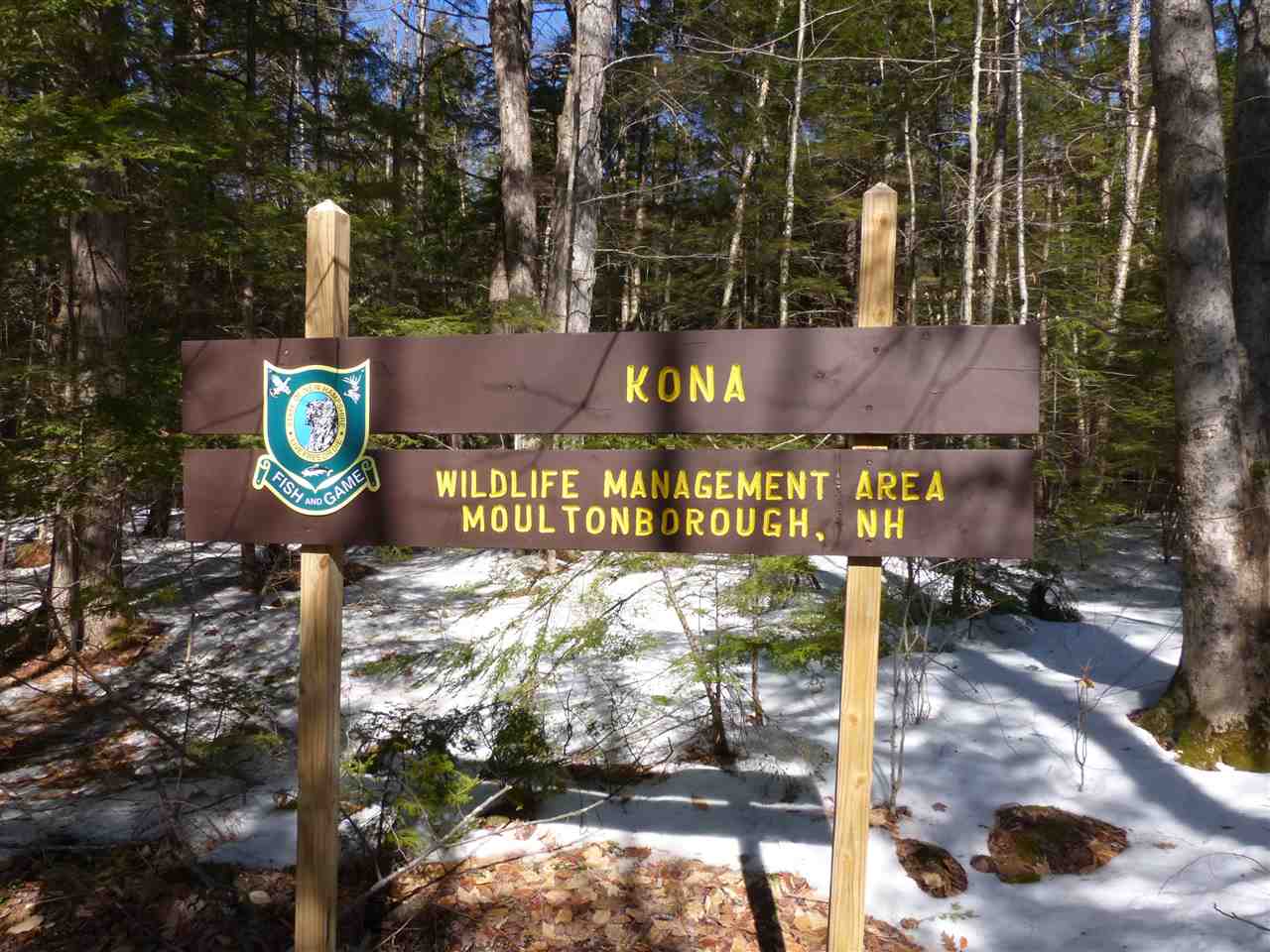 9 Stage Road Moultonborough, NH 03254 - Photo 11 of 32