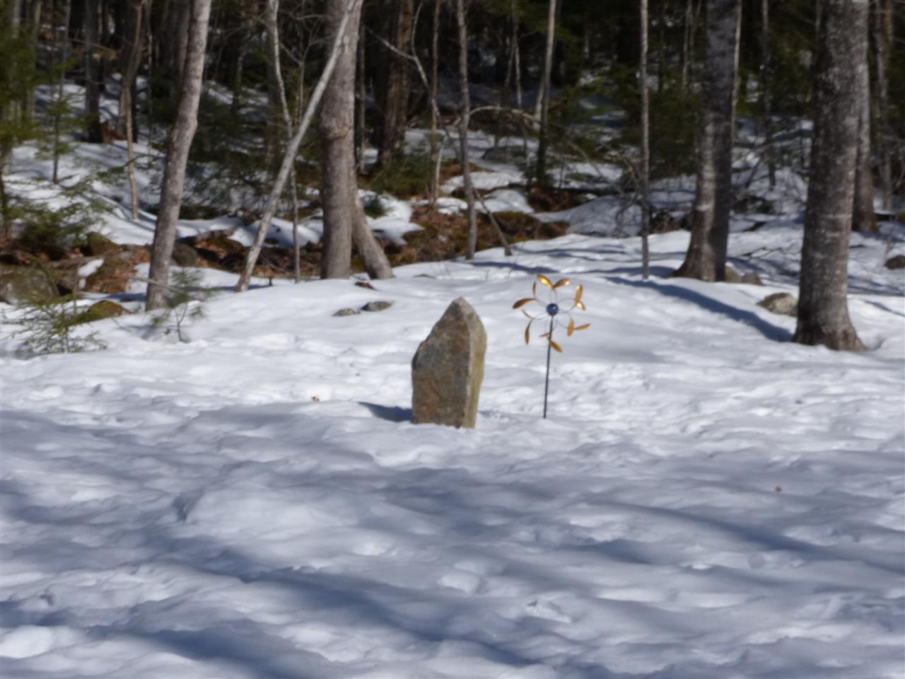 9 Stage Road Moultonborough, NH 03254 - Photo 5 of 32