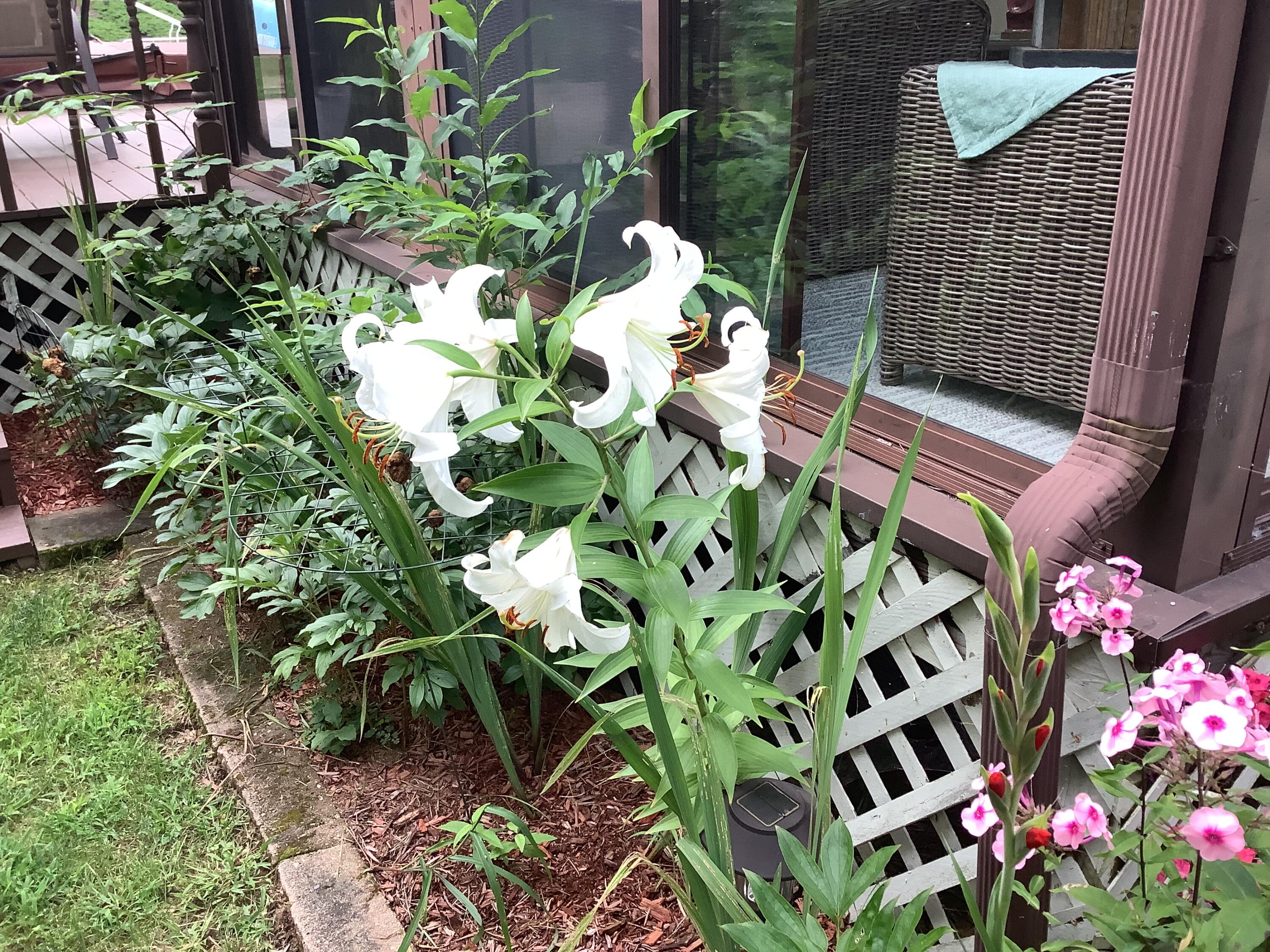 65 Blueberry Lane Gray, ME 04039 - Photo 45 of 53 65 Blueberry Ln Gray - Photo 3